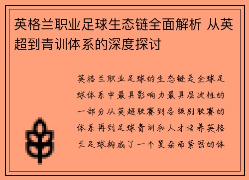 英格兰职业足球生态链全面解析 从英超到青训体系的深度探讨